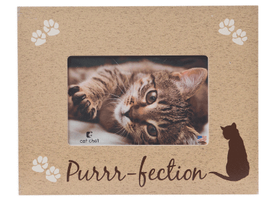 Cat Purrfection - Picture Frame