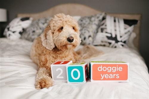 Pet Age Blocks