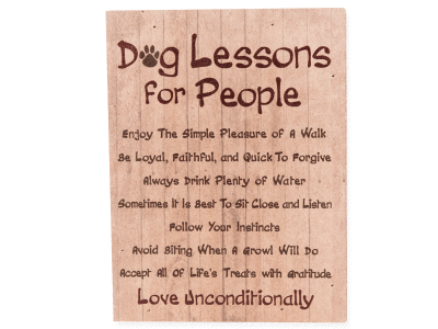 Dog Lessons for People - Small Pallet Box Sign