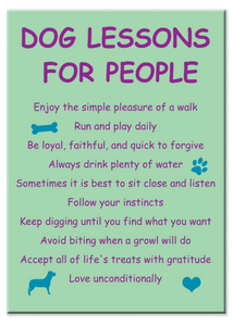 Dog Lessons for People - Magnet