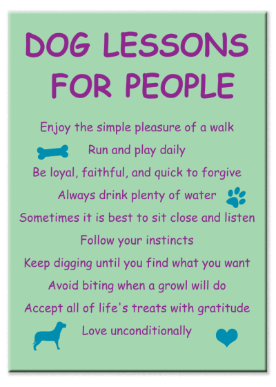 Dog Lessons for People - Magnet