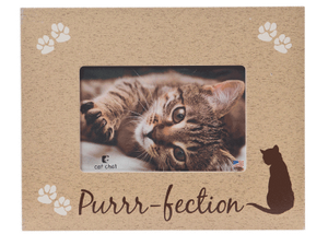 Cat Purrfection - Picture Frame