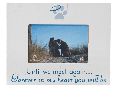 Until We Meet Again - Sympathy Picture Frame